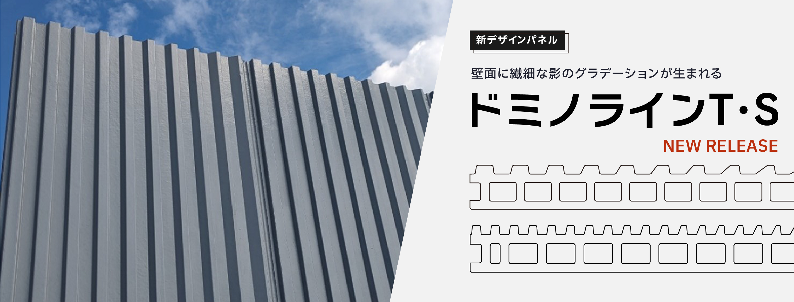 ドミノラインT・S